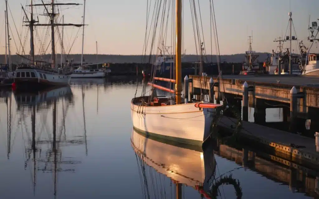 Everyone thought man was making a mistake for buying rotting yacht Tally Ho for $1 but he now lives on it