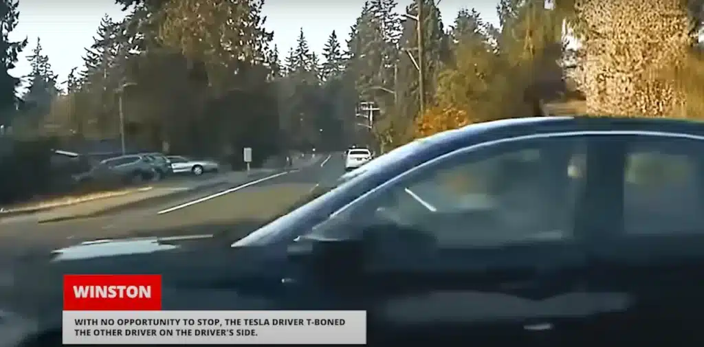 Tesla Model 3 Teenager