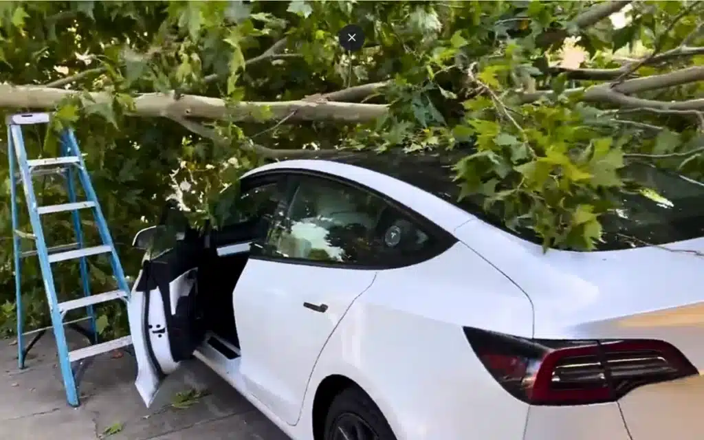 Tesla Model 3 saved from natural disaster