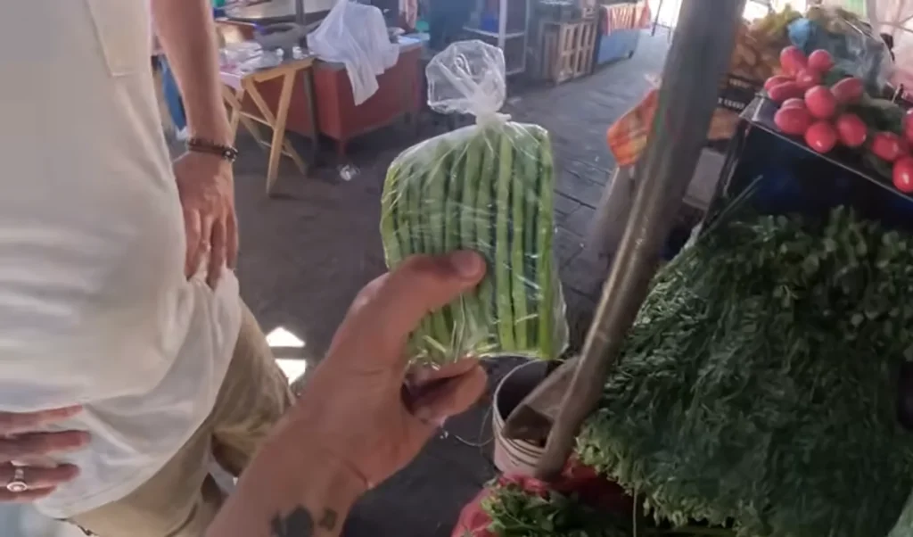 Oregon man reveals the real costs of living with a Tesla Model X in Mexico