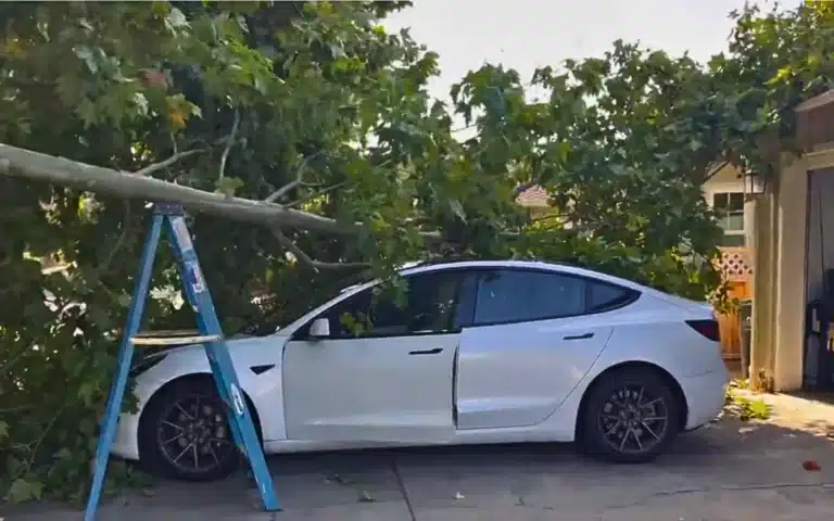 Tesla Model 3 saved from natural disaster