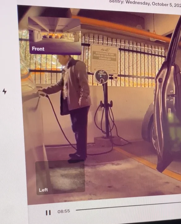 Tesla owner checks Sentry camera footage and immediately issues warning to other owners