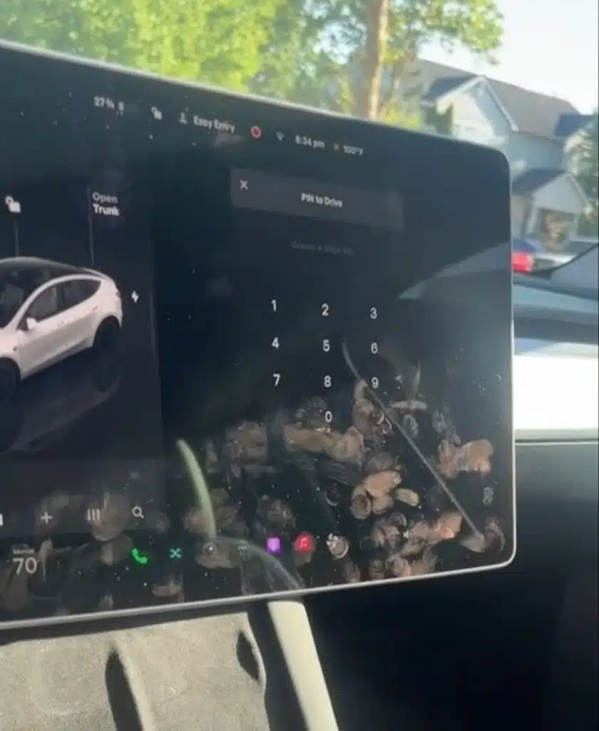 little-known feature onboard a Tesla EV adds security pin