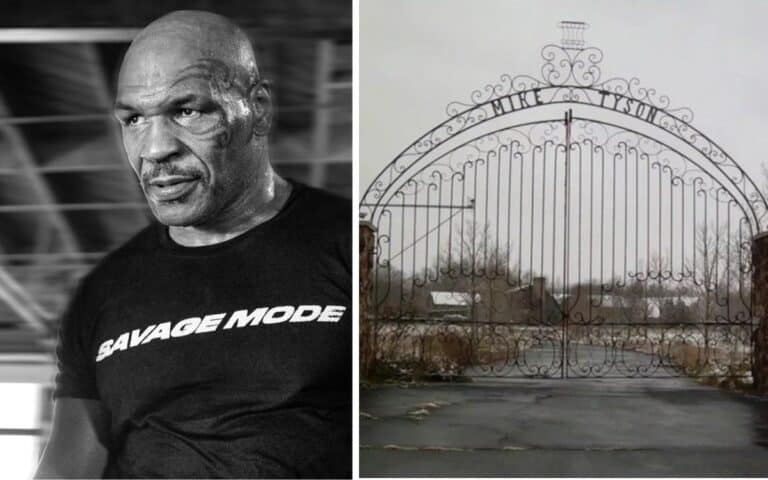 The abandoned 52-room mansion of Mike Tyson was converted into something very unexpected