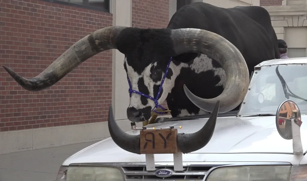 Modifications done to the car to accommodate the bull