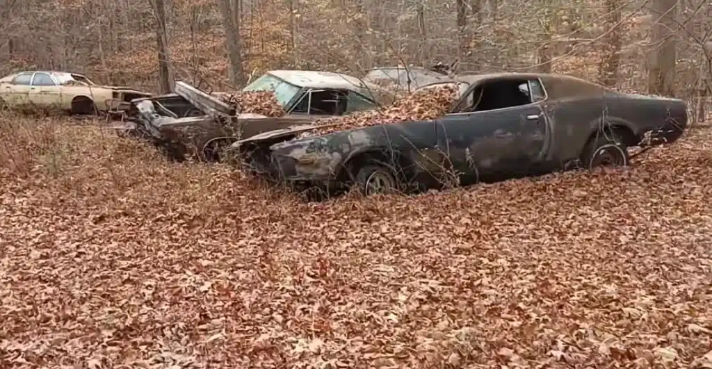 Classic cars found in a barn find