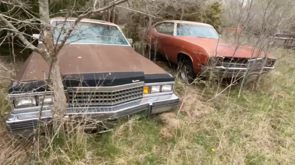 This American YouTuber bought an abandoned farm and found an incredible collection of classic cars left behind to rot