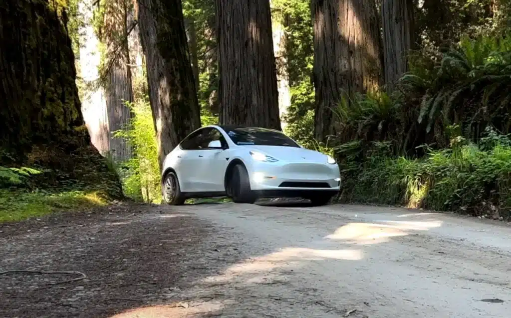 This car owner switched from a Toyota Prius to a Tesla Model Y and the costs involved actually went up