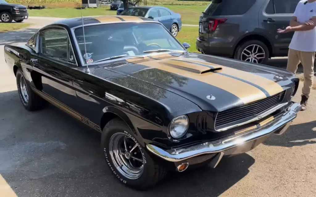 This is the greatest ever collection of -rare Ford Mustangs