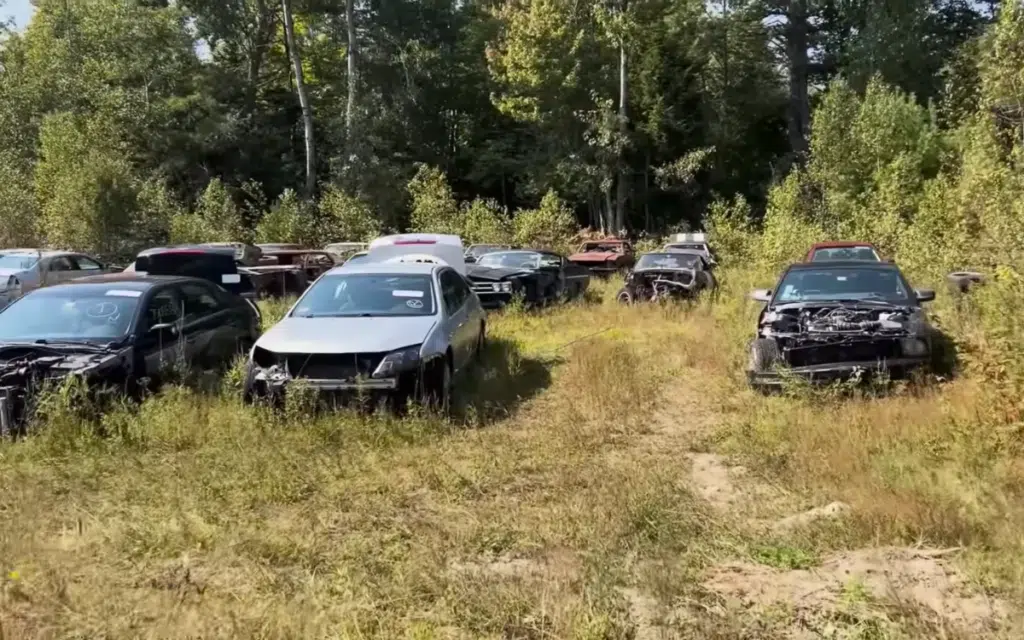 This could be the greatest collection of ultra-rare Ford Mustangs of all time