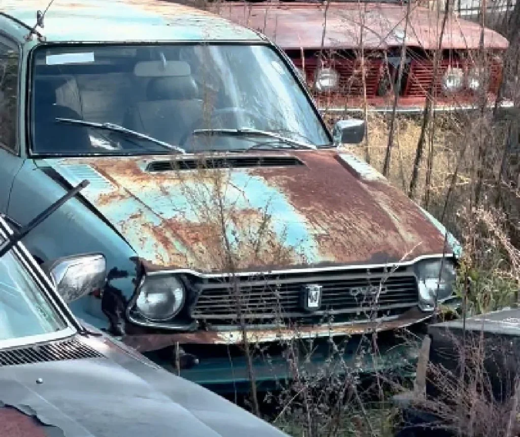 This guy has amassed a collection of 160 European cars abandoned in a field
