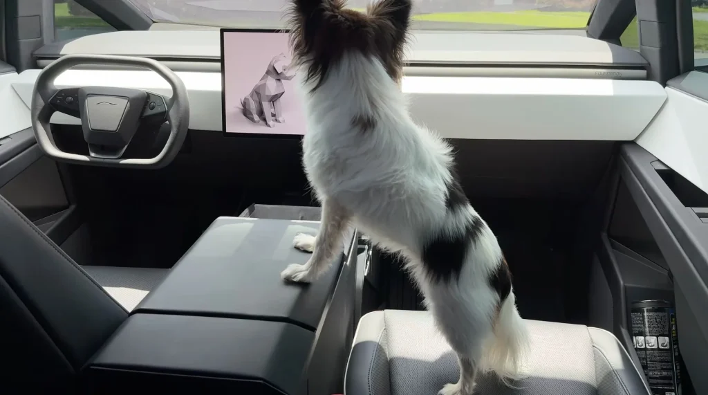 This guy in Florida bought a brand-new Tesla Cybertruck for $100,000 and 25,000 miles later, well it isn't worth that much anymore