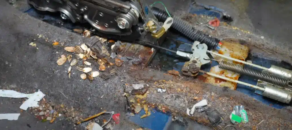Owner of 16-year-old Civic trades it in at Honda dealership in Canada but its labeled 'uncleanable'