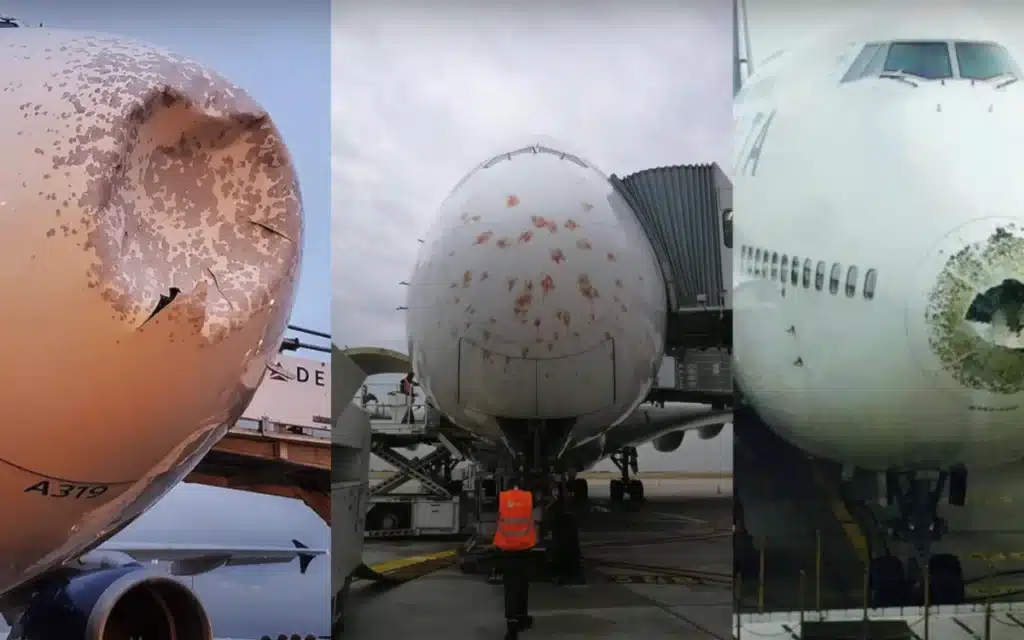 The black shape on the noses of old airplanes help to protect the radome
