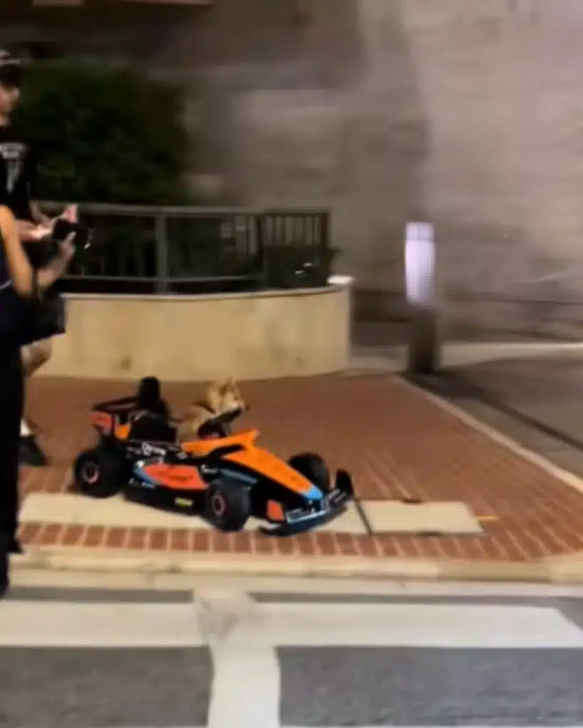 A very composed Shiba Inu riding in a mini McLaren F1 car, crossing the road in Monaco