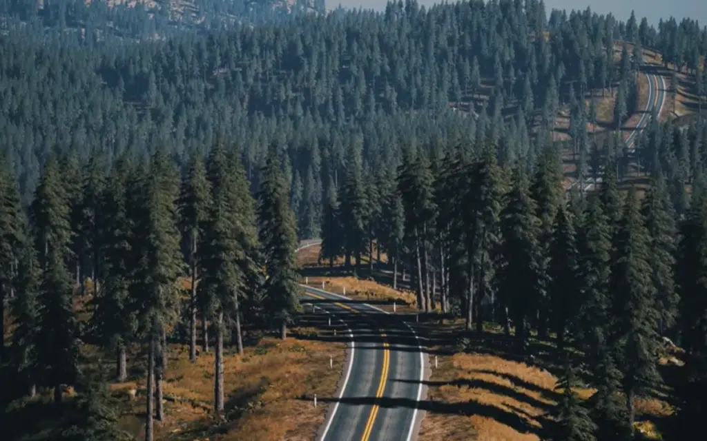 Take me home, country roads to where Midwest driving magic unfolds