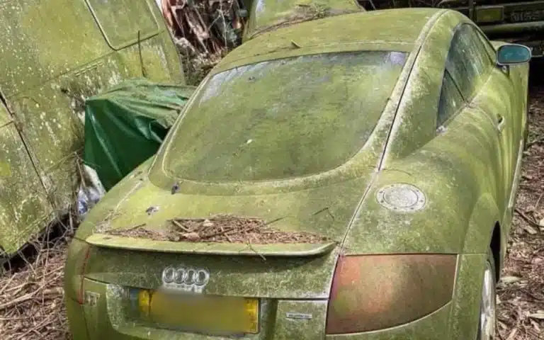 Abandoned Audi TT in great condition is a mossy UK mystery