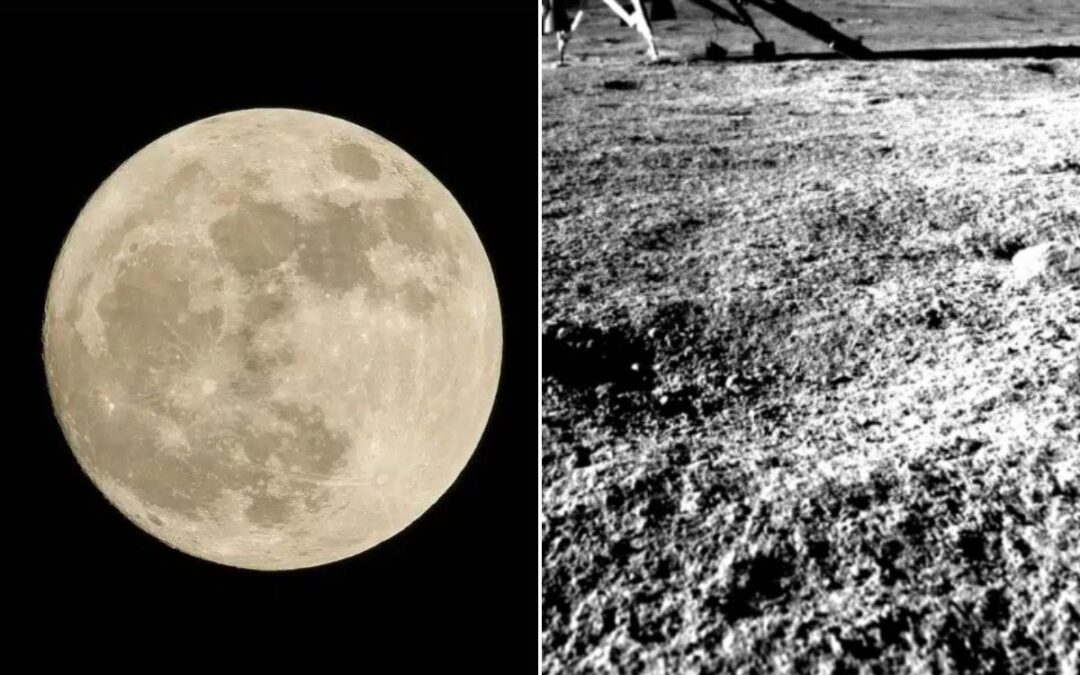 India’s lunar rover shares epic first photos of its lander on Moon’s South Pole 