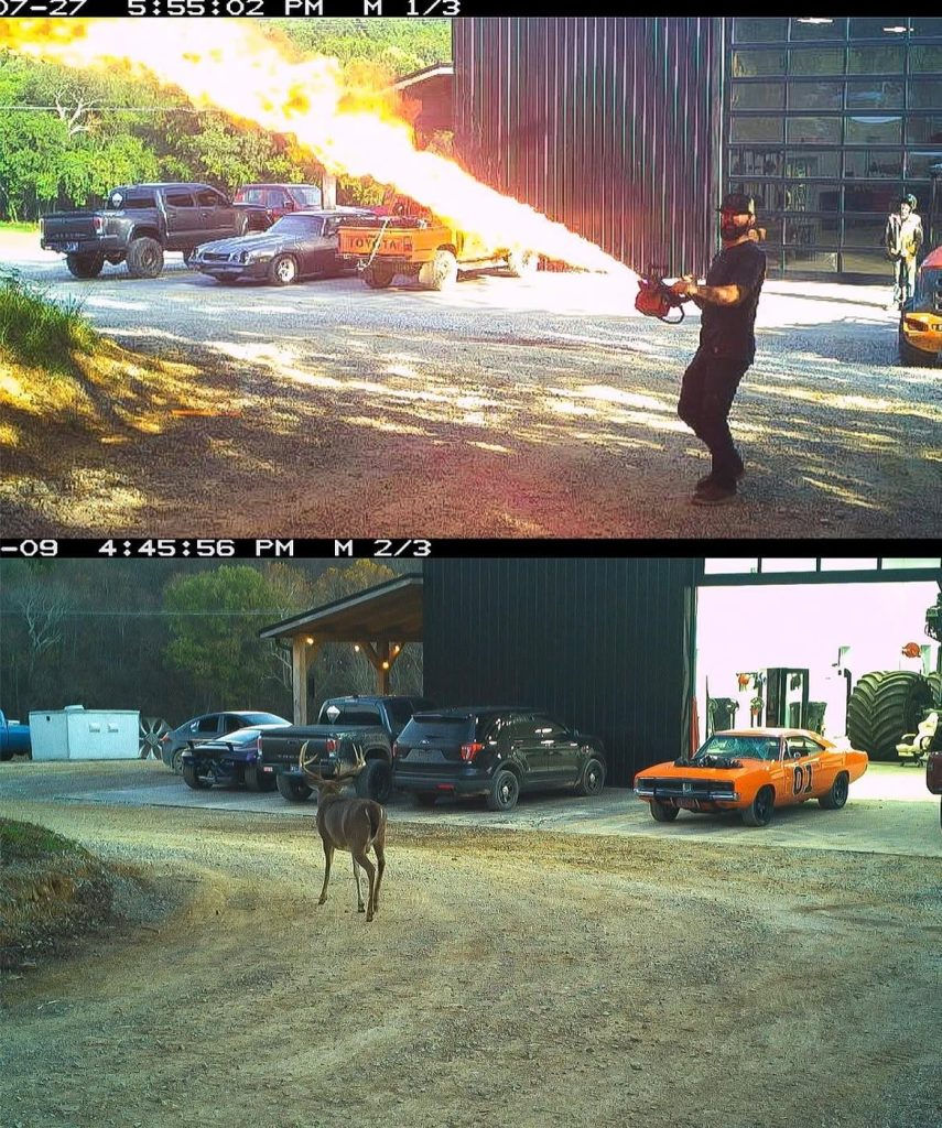 WhistlinDiesel set up cameras all over his Tennessee ranch and the images he managed to capture have to be seen to be believed