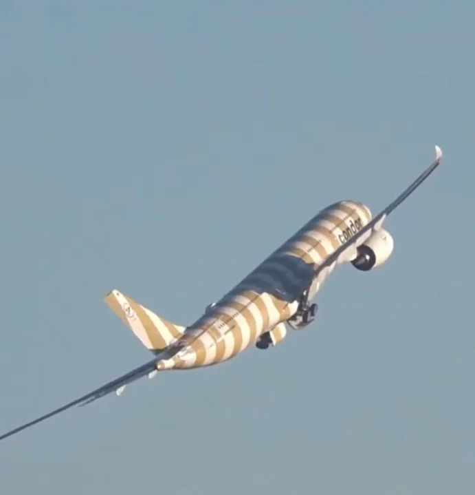 Condor 'Beige Beach' Airbus A330 pilot performed heart stopping wing wave stunt with cargo onboard
