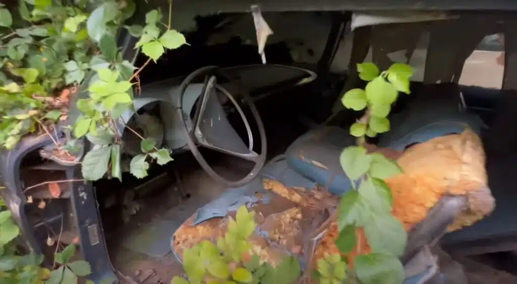 Spooky abandoned house straight out of a horror movie hides derelict American classic cars buried in the yard