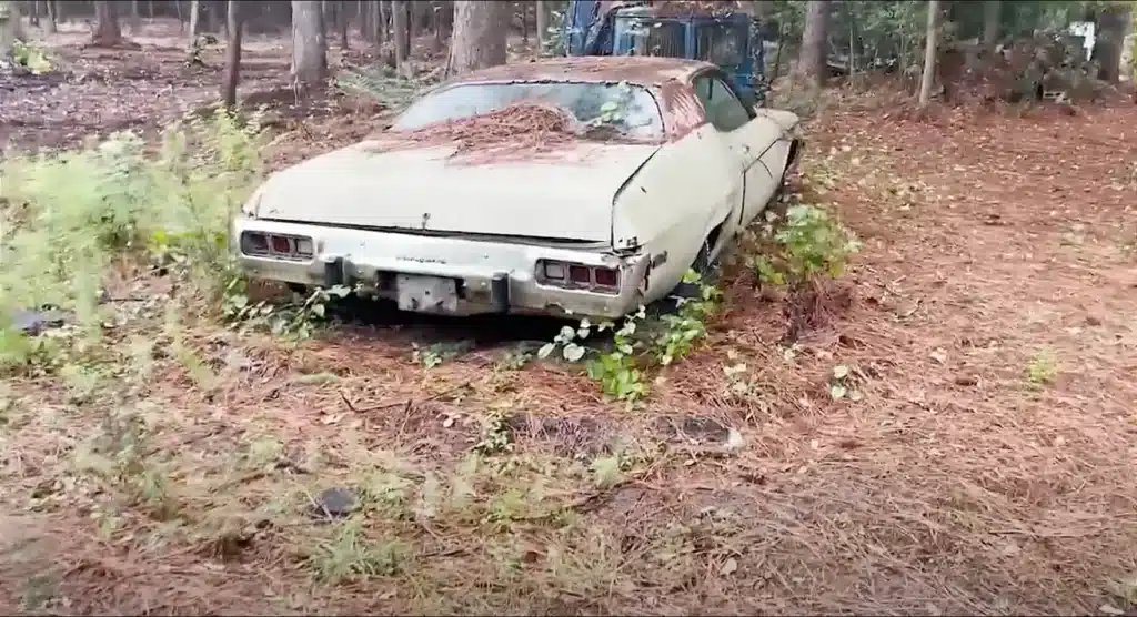 abandoned Plymouth Satellite