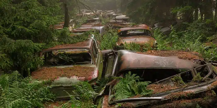 abandoned cars