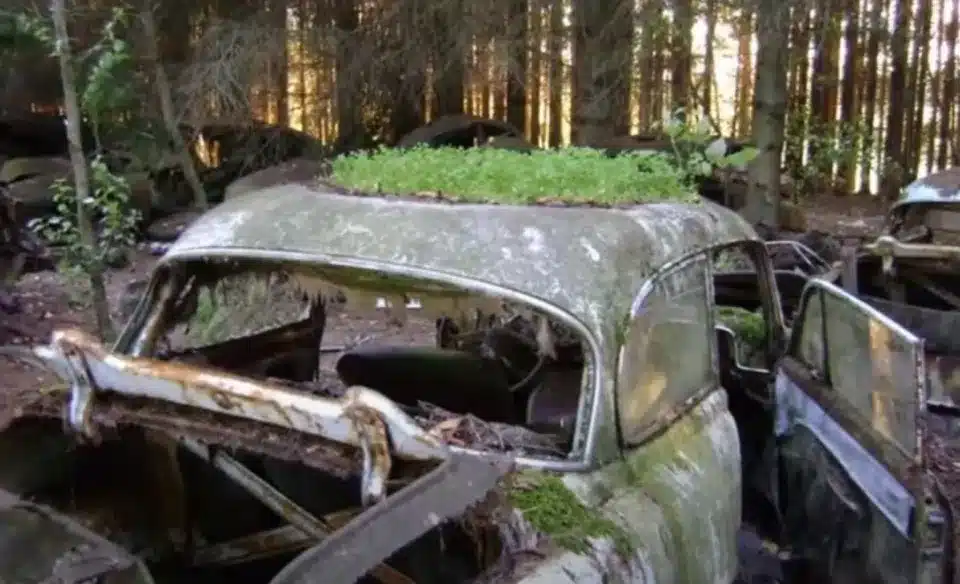 abandoned cars