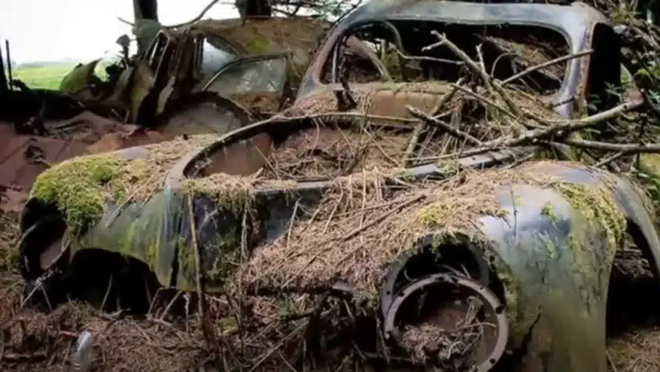 abandoned cars