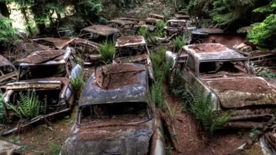 abandoned cars