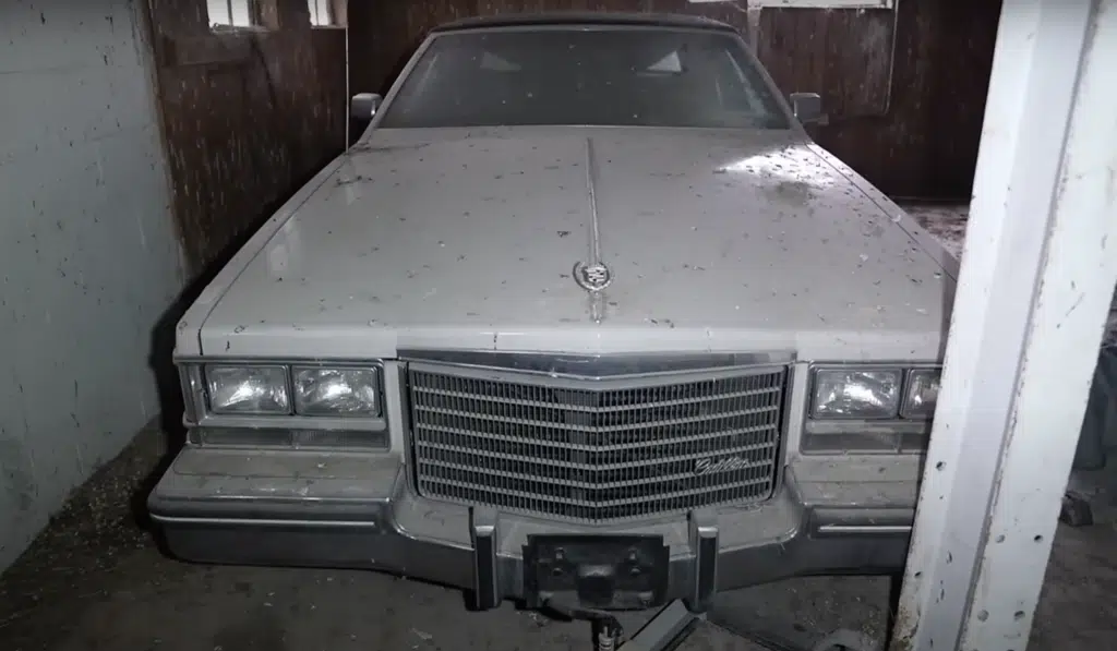 Dealership abandoned 20 years ago found packed with iconic American cars trapped inside