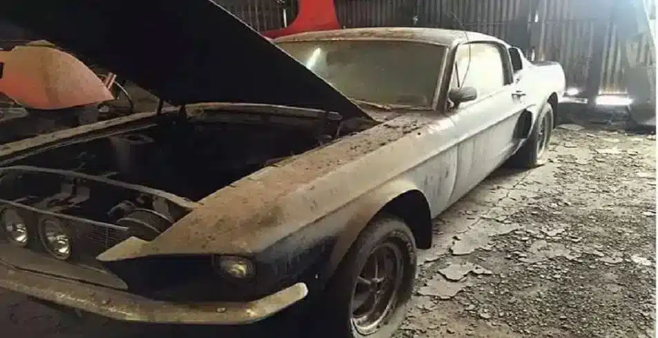13 abandoned supercars discovered in American barns