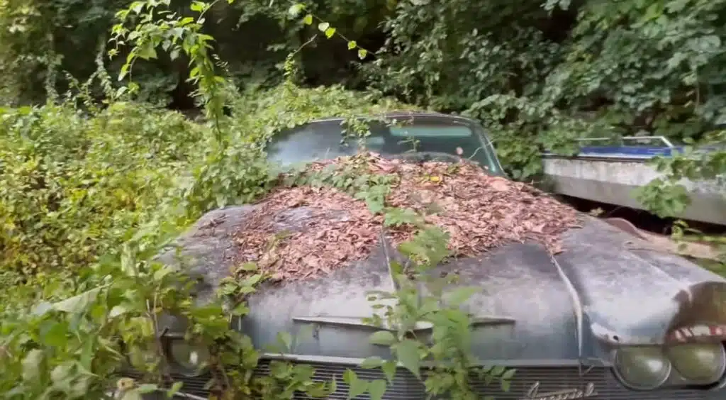 Spooky abandoned house straight out of a horror movie hides derelict American classic cars buried in the yard