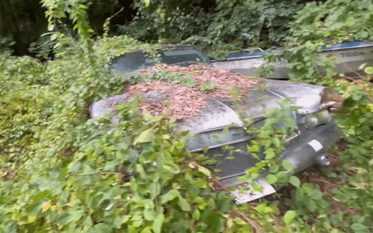 Spooky abandoned house straight out of a horror movie hides derelict American classic cars buried in the yard