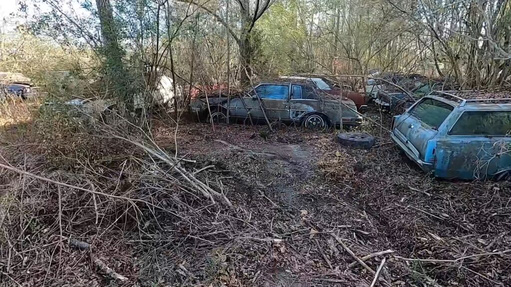 Last remaining AMC dealership in North Carolina still has 200 cars sat there for 30 years