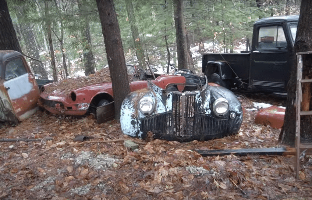 Car graveyard in the woods home to America's largest collection of Amphicars