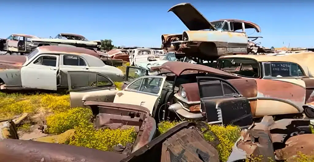 Ten thousand unrestored classic cars lie in Arizona junkyard