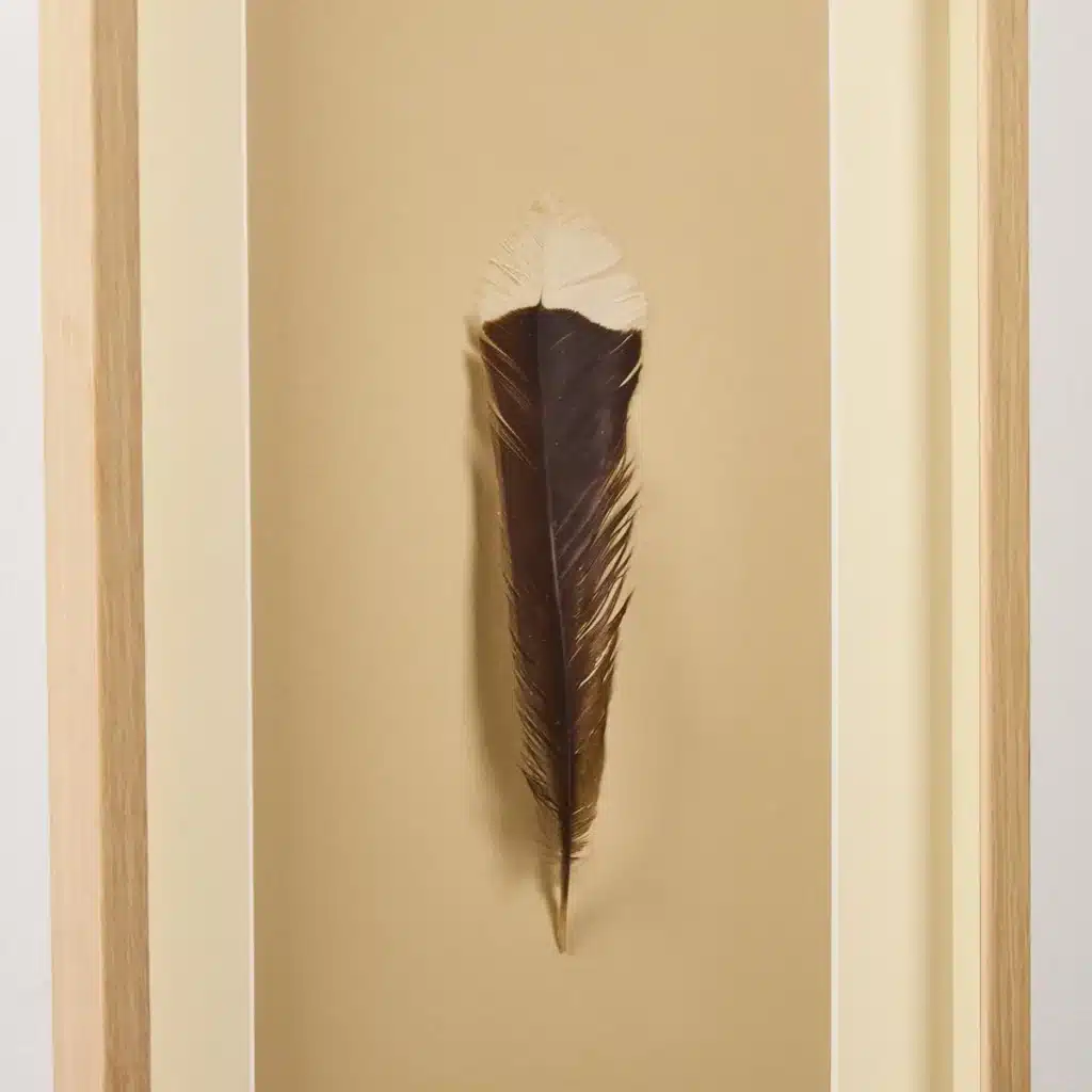 This single huia bird feather was sold for $28,000