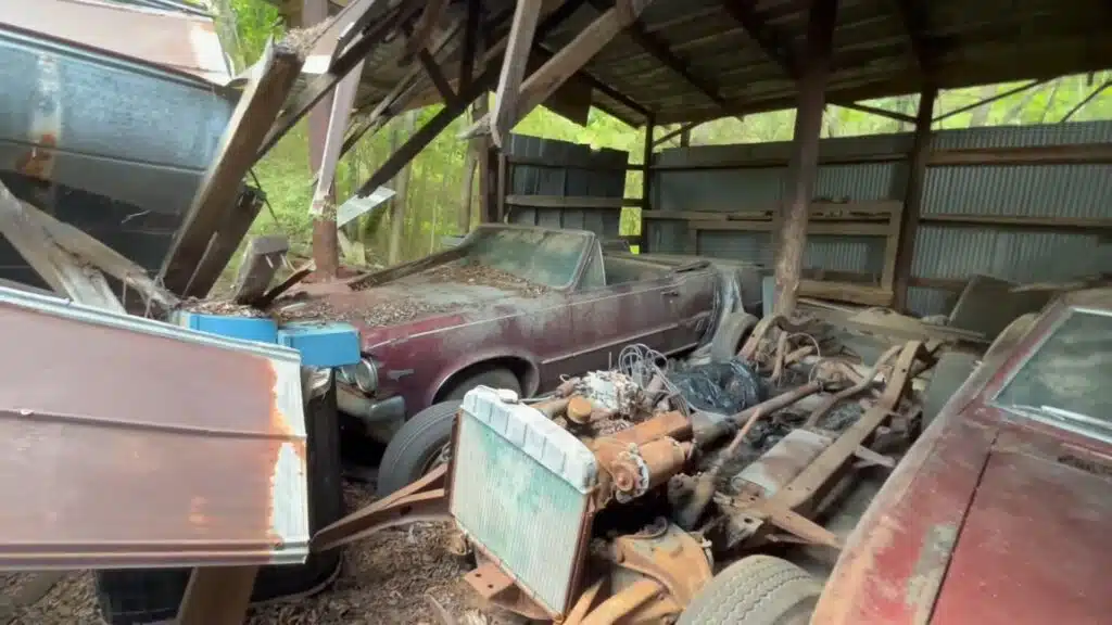 Man has incredible car collection in barn