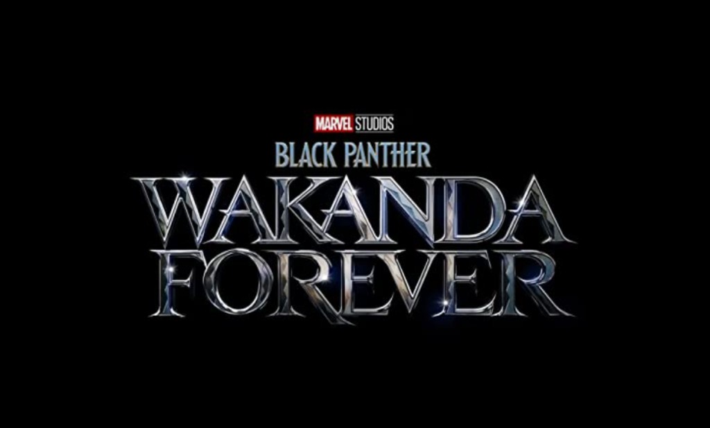 black panther Wakanda forever movie