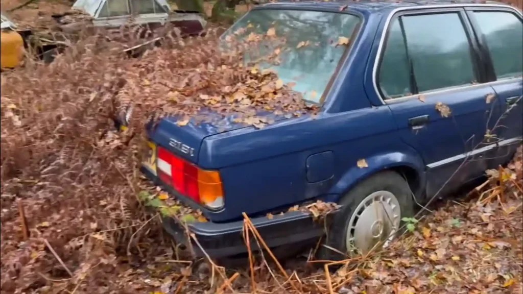 abandoned car graveyard uk forest