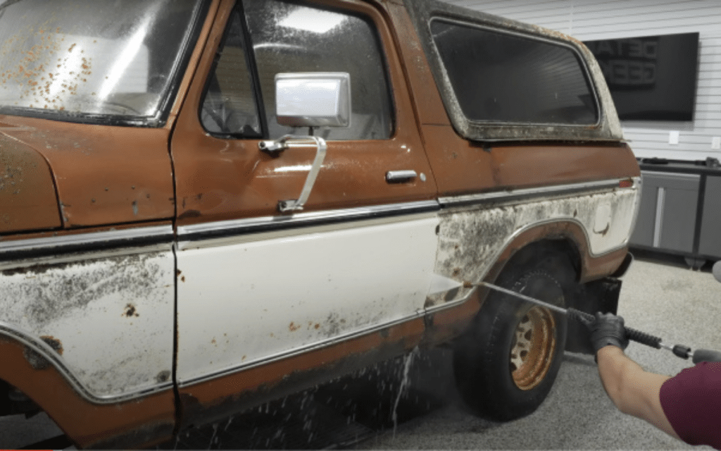 Abandoned Ford Bronco sat in bush for 20 years basically has its own ecosystem