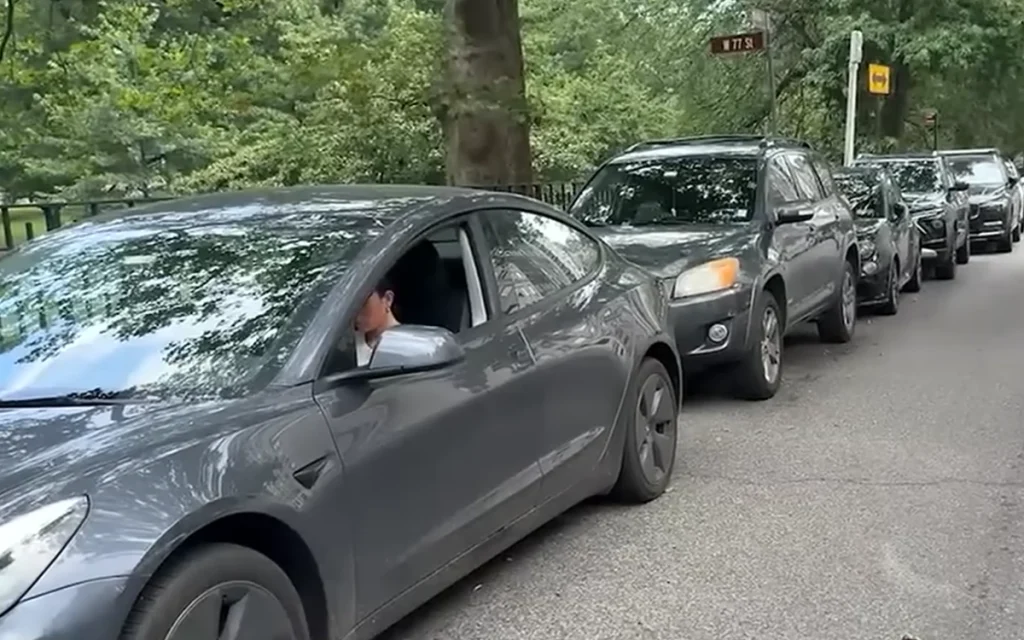 New York woman earns hundreds of dollars a day car-sitting