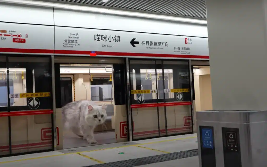 YouTuber spends four months building jaw-dropping miniature subway system for his cats
