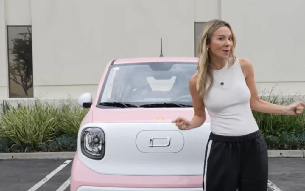 Georgia woman drives cheap Chinese EV that costs less than a golf cart around the US and comes to a quick realization 