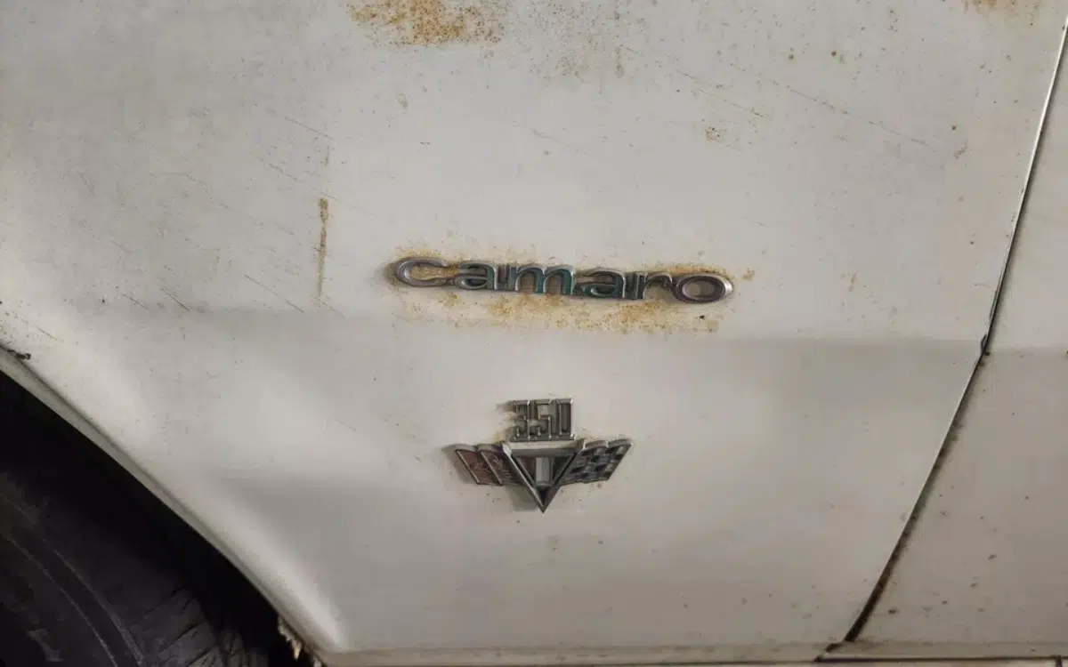 Lucky American uncovers 1967 Chevrolet Camaro SS 350 hidden in a hoarder's collection, parked since 1971