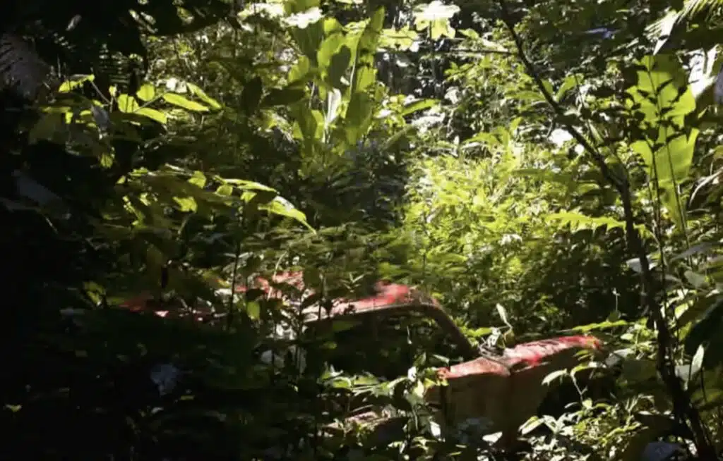 Chevrolet Corvair lies abandoned in the middle of a jungle