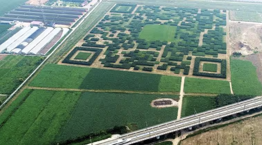 A Chinese village has built a giant QR code from 130,000 trees to attract visitors