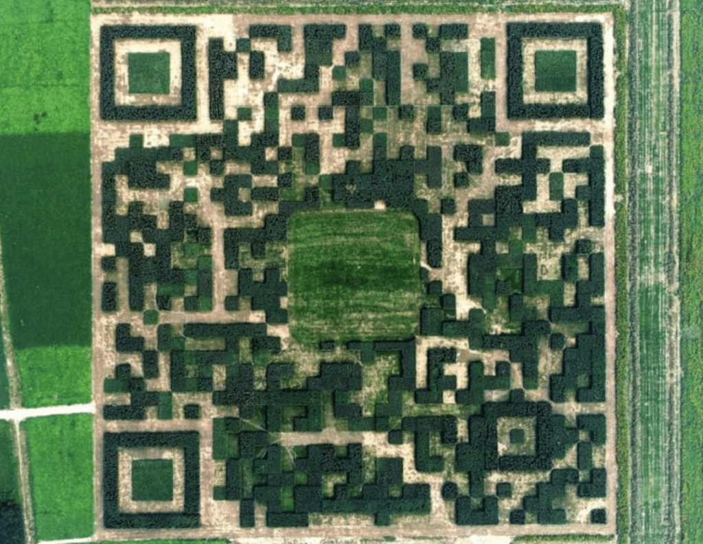 A Chinese village has built a giant QR code  from 130,000 trees to attract visitors