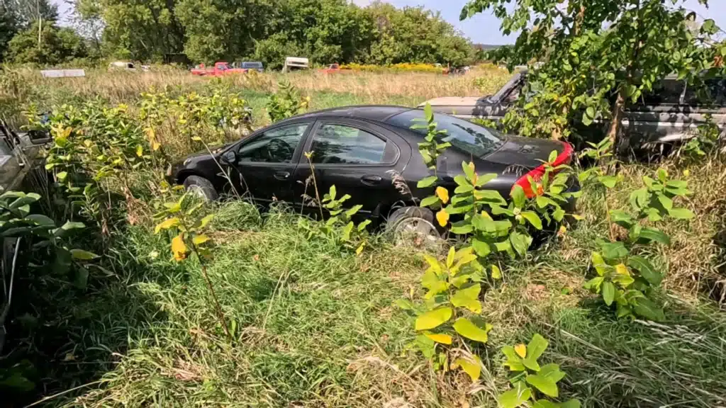 car thief's hideout muscle cars